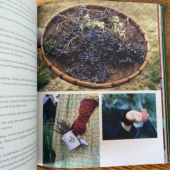 Forest + Home: Cultivating an Herbal Kitchen by - Spencer Mc Gowan - Picture 6 of 6